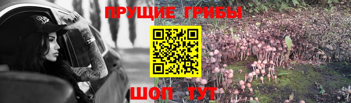 Псилоцибиновые грибы ЛСД  Вход с VPN  Барабинск 