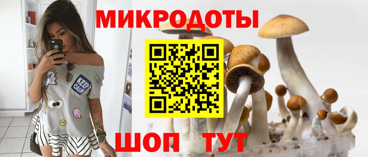 Галлюциногенные грибы Psilocybine cubensis Барабинск